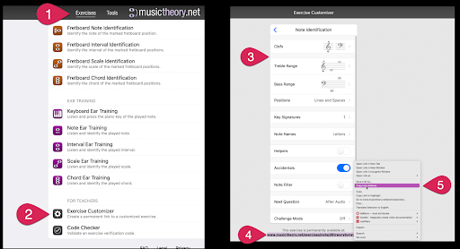 Musictheory.net Teacher Customization Option